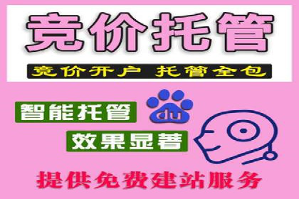 竞价托管服务中的挑战与机遇